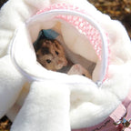 Guinea Pig Carry Case – Outdoor & Travel-Friendly Cage (A2BB)