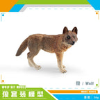 Animal World Wolf Models – Little Grey & Arctic Wolves Educational Toys & Decorative Figurines